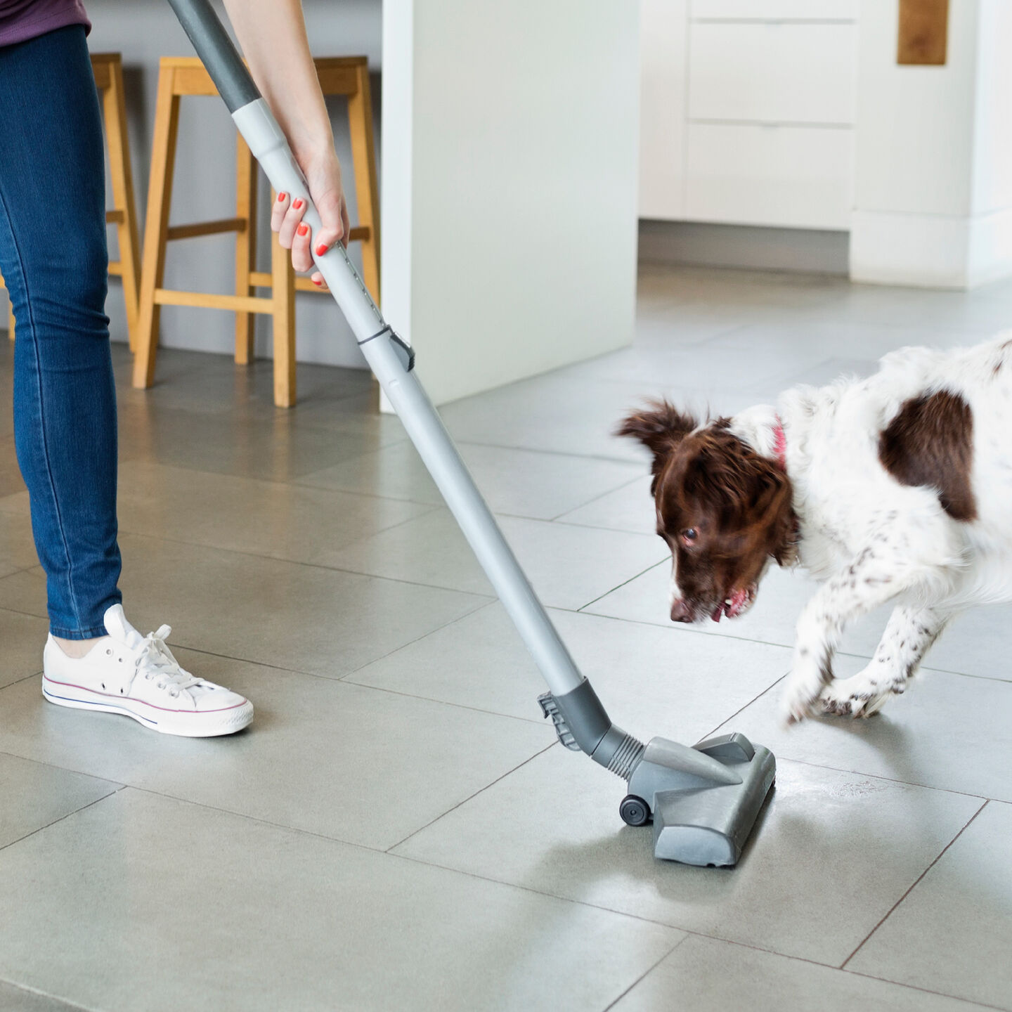 <strong>HOW TO HELP YOUR DOG FEEL SAFE AND CALM WHEN LIFE GETS LOUD</STRONG><br><br>Lots of dogs are frightened by loud noises. From car horns and raised voices to slamming...